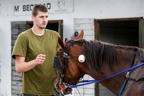 ‘Magnificent creatures’: How Nikola Jokic found peace in his love for ...