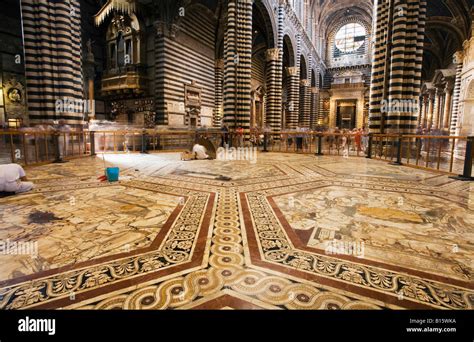 Italy, Siena, Floor of Siena Cathedral Stock Photo - Alamy