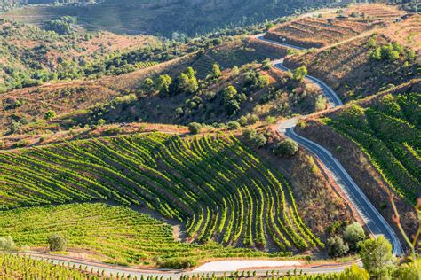 Guide to Priorat: Learn About the Spanish Priorat Wine Region - 2022 ...