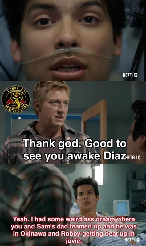 40+ Hilarious COBRA KAI Memes - Guide For Geek Moms in 2021 | Cobra ...