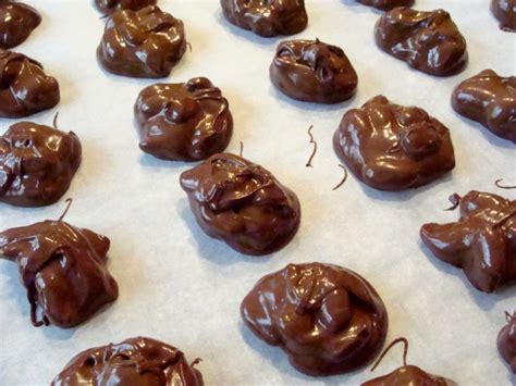 Homemade Chocolate Covered Peanuts Recipe - Food.com