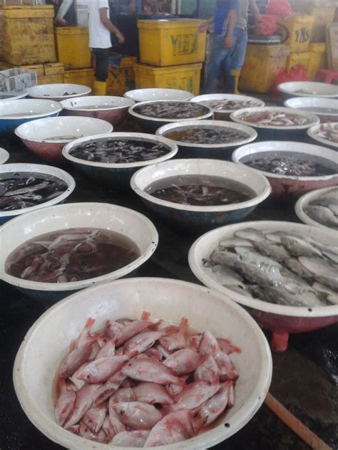 Belanja di Pasar Ikan Muara Angke ~ MOOO_MOON