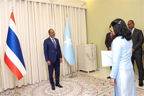 Somali president receives credentials from new foreign ambassadors ...