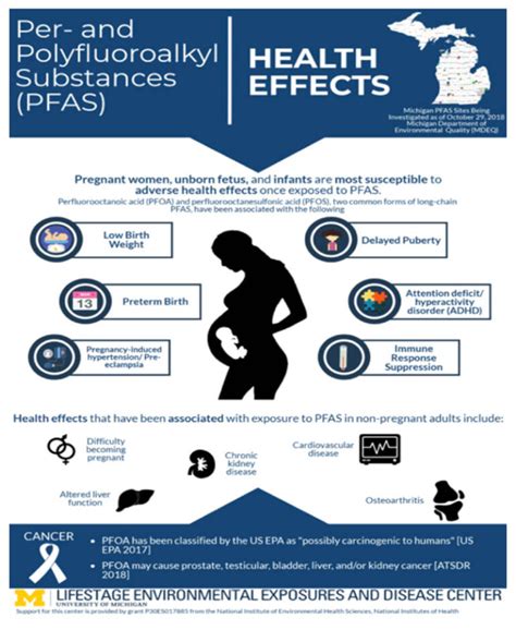 Forever Chemicals (PFAs) and America’s Polluted Water Sources - Rachel ...