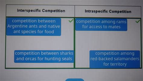 Interspecific Competition Examples