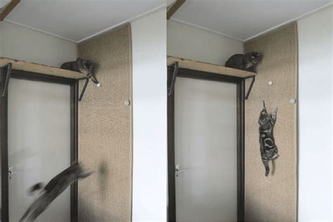 An Inexpensive Hack for a Cat Climbing Wall - IKEA Hackers