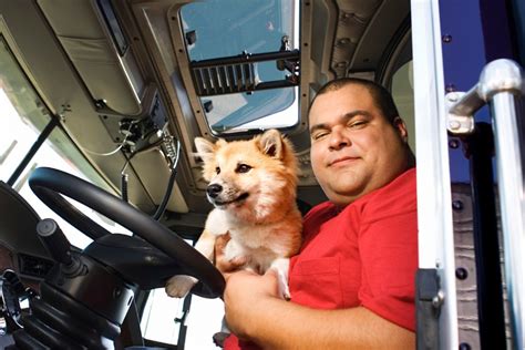 What to think about before choosing a trucking career