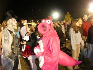 birdo | The winner for the most obcsure videogame costume go… | Flickr