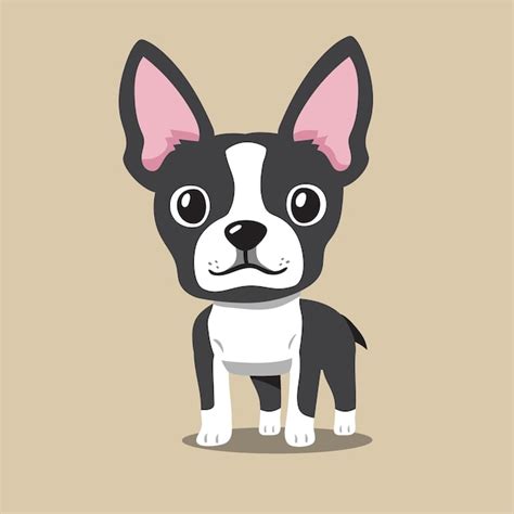 Premium Vector | Cartoon boston terrier dog