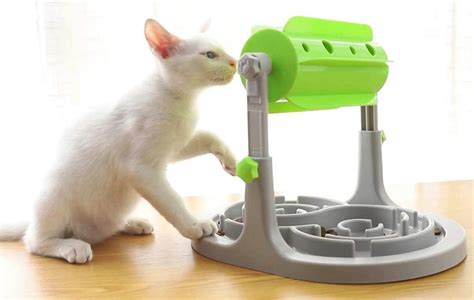 The 10 Best Cat Puzzle Feeders