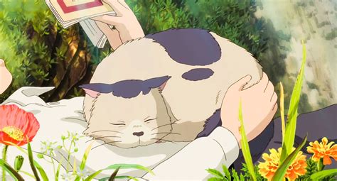 Studio Ghibli on Twitter: "Ghibli cats https://t.co/3inUifZFx8 ...