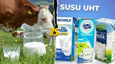 Susu Pasteurisasi Vs Susu UHT, Apa Perbedaannya? - Rakamin Academy