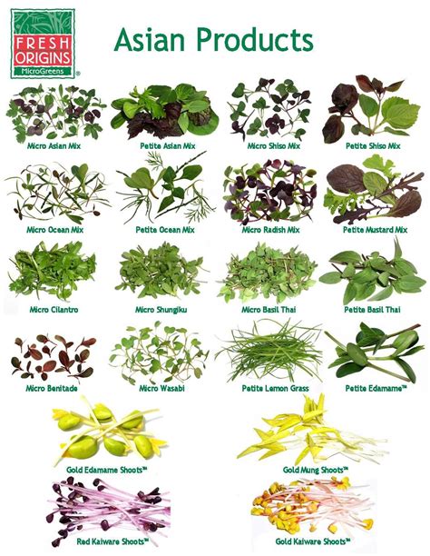 types of asian greens | What would you do with our Asian products ...