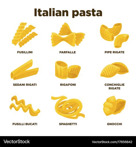 Delicious italian pasta types of high quality Vector Image