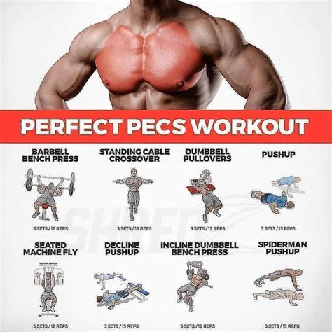 @workout__ability on Instagram: “Perfect chest pecs workout for yours 🔥 ...