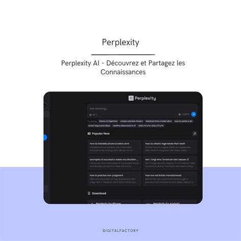 Perplexity AI - Information Discovery and Sharing Tool – Digital Factory