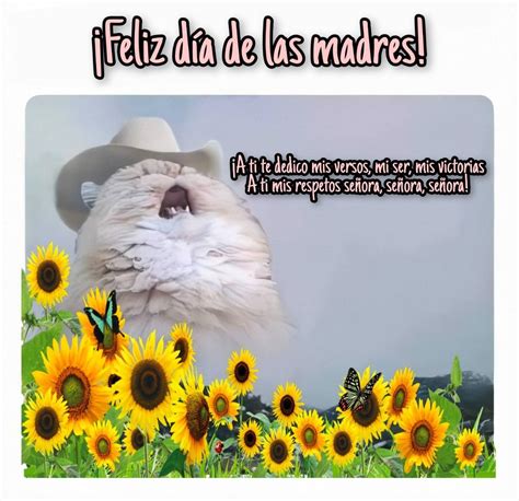 Pin de Dayana Ontiveros en • memes español • | Feliz día de la madre ...