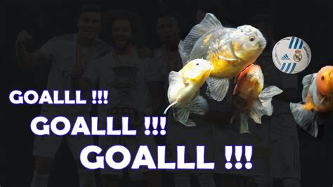 GoldFish scored in a football game - YouTube