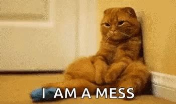 I Am A Mess Cat GIF - I Am A Mess Cat Sad - Discover & Share GIFs