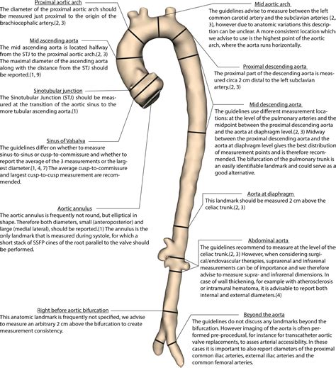 How to Measure the Aorta Using MRI: A Practical Guide - Hout - 2020 - Journal of Magnetic ...