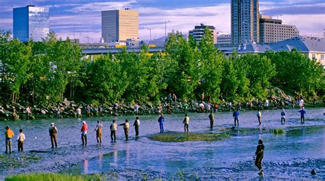 Area Attractions and Fun Activities in Anchorage Alaska