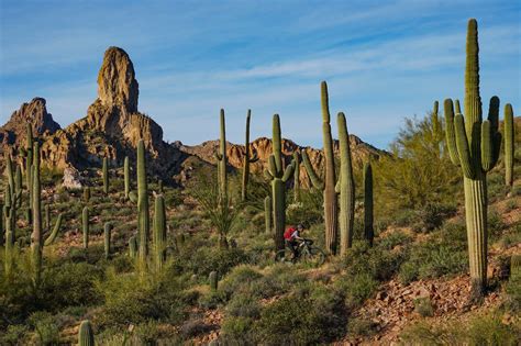 Arizona National Forests Close Due to Extreme Fire Danger: Yet another ...