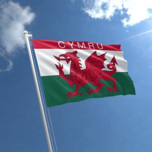 Cardiff Flag for sale | Buy Flag of Cardiff | The Flag Shop