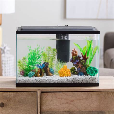 35 Modern Mini Aquarium Designs For Your Small Spaces | HomeMydesign