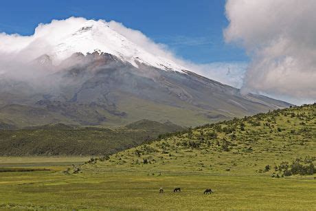 30 Cotopaxi national park Stock Pictures, Editorial Images and Stock ...