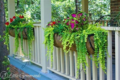 15 Beautiful DIY Ways To Hang Your Plants | Hometalk