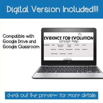 Evidence For Evolution Concept Map- Graphic Organizer Worksheet(Print ...