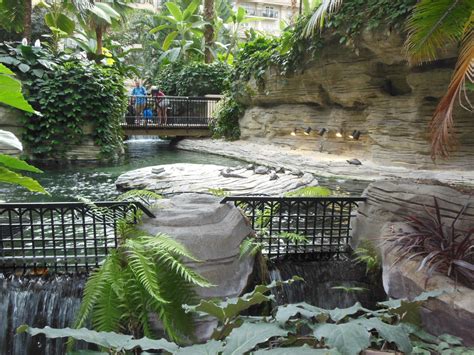 Another view of the alligator enclosure (small alligators, but still...) | Zoo architecture, Zoo ...