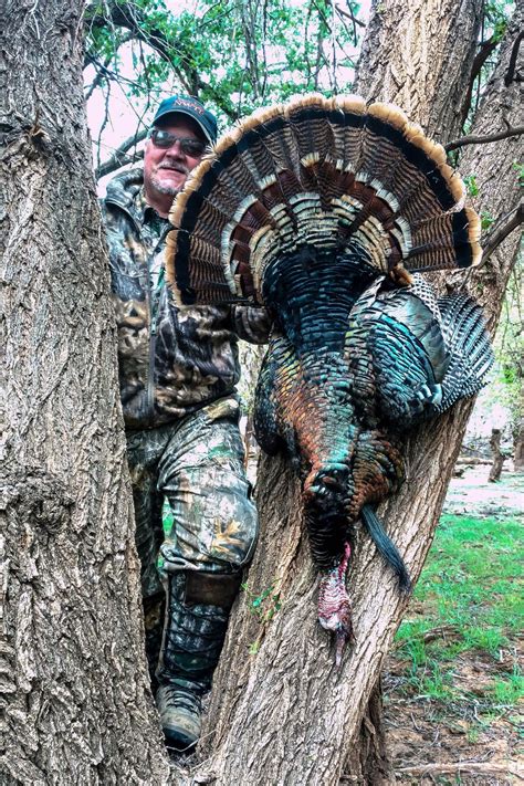 Texas: 3 Day Rio Grande Turkey Hunt for 1 Hunter, includes 2 turkeys