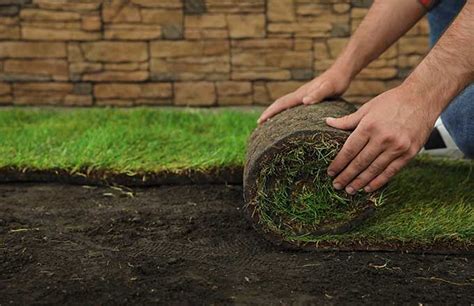 Sod Installation & Irrigation System Brooklyn | Dependable Lawn Care