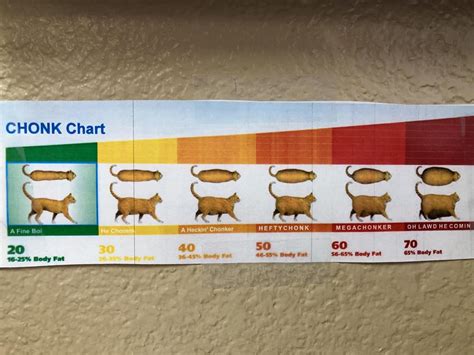 I introduce to you, the CHONK chart. : FellowKids