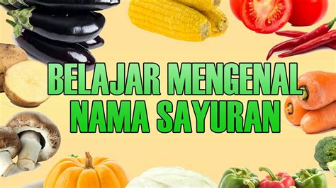 Belajar Mengenal Nama -nama Sayuran - YouTube