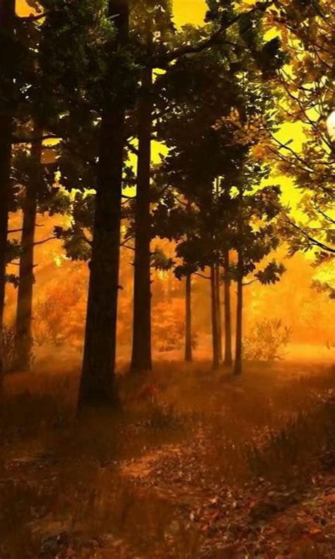 Autumn Forest live wallpaper Android App - Free APK by droidcounty