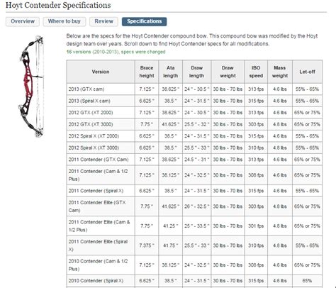 Compound Bow String Chart | Images and Photos finder