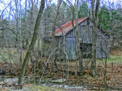 Elevation of Red Boiling Springs Rd, Lafayette, TN, USA - Topographic ...