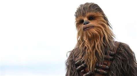 Prosecutor Defeats Chewbacca Defense In An Actual Federal Court Case