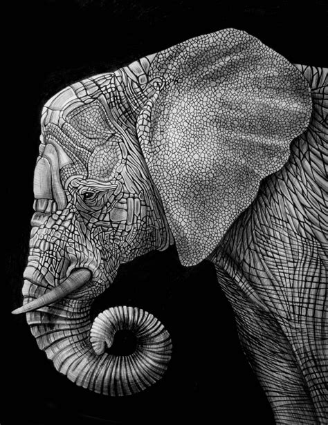 The 25+ best Elephant illustration ideas on Pinterest | Simple elephant ...