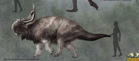 Saw this image from the game Prehistoric Kingdom and I want to know if ...