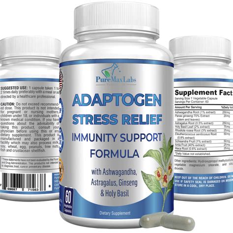 Top 8 Best Adaptogen Supplements in 2024 - Straight.com