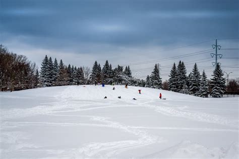 City Park Cold Winter Day, Scenic View Stock Photo - Image of park ...