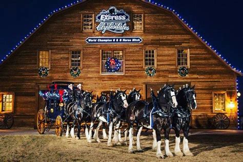 Clydesdales at The Ranch Harley-Davidson - BCS | Calendar