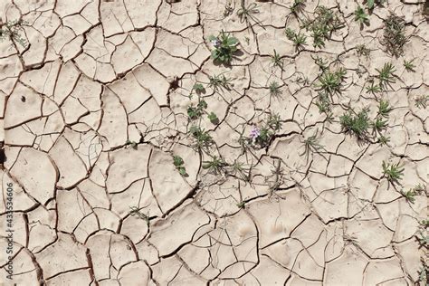 desert earth ground texture backdrop Stock Photo | Adobe Stock