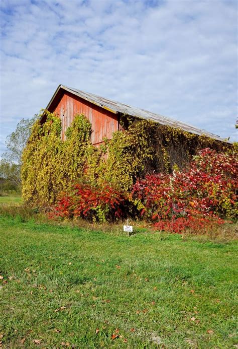 Traverse City Fall Colors: The Most Beautiful Drive through Northern Michigan - This Darling World