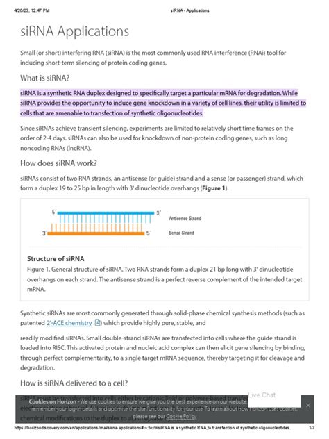 siRNA - Applications | Download Free PDF | Small Interfering Rna | Rna Interference