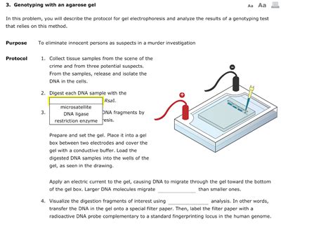 regain Ancient times news agarose gel electrophoresis protocol Now Ray Red