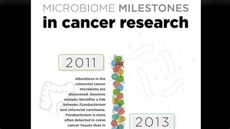 The Microbiome and Cancer Infographic | Technology Networks